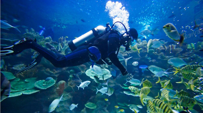 belize-scuba-diving-adventure-travel-hopkins-bay-l1